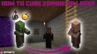 How To Cure A ZOMBIE Villager Minecraft 111 112 113 114 [upl. by Nueormahc565]