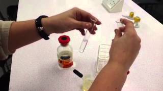 Test for Lipids [upl. by Arykat256]