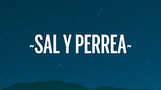 Sech  Sal y Perrea LetraLyrics [upl. by Tucky]