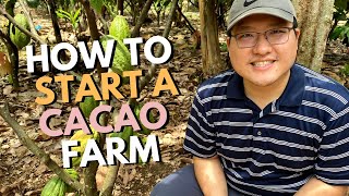 How to Start a Cacao Farm [upl. by Smiga]