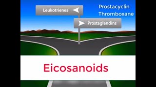 Eicosanoids in 2 minutes Prostaglandins Prostacyclin Thromboxane and Leukotrienes [upl. by Aicilat]