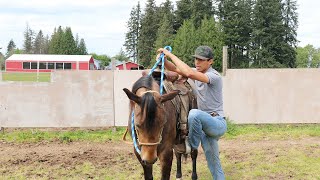 COMO MONTAR UN CABALLO  LO BASICO [upl. by Bullis142]