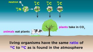 Radiometric Dating Carbon14 and Uranium238 [upl. by Eilah]