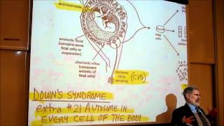 BIOLOGY CHROMOSOME ANOMALIES amp GENETIC DISEASES by Professor Finkwmv [upl. by Reynard]