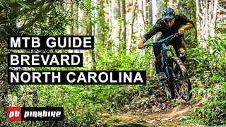 Mountain Biking in Brevard North Carolina  The Complete Guide  Local Flavors [upl. by Woermer512]