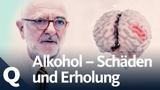 Wie gut kann sich der Körper vom Alkohol erholen  Quarks [upl. by Aeneas]