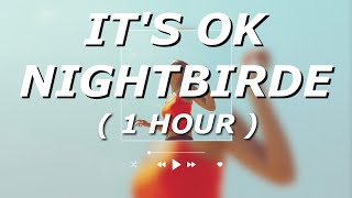 NIGHTBIRDE  Its Okay Lyrics 1 HOUR LOOP  simplyvida [upl. by Dadivitan]