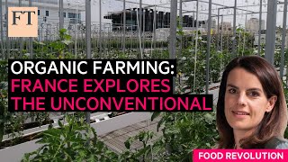 French organic farming explores the unconventional  FT Food Revolution [upl. by Leesen29]