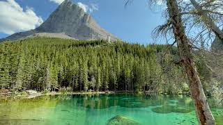 Kananaskis  Wilderness Within  4K UltraHD [upl. by Eseerahs766]