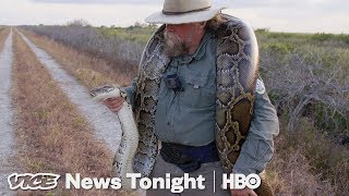 The Bounty Hunters Catching Pythons In Florida HBO [upl. by Christie]