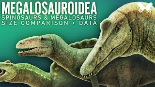 SPINOSAURS and other MEGALOSAUROIDS  Dinosaurs size comparison and data [upl. by Ireland]