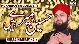 New Muharram Kalam 2017  Hussain Meray hain  Hafiz Ahmed Raza Qadri  Released by ARQ Records [upl. by Narat]