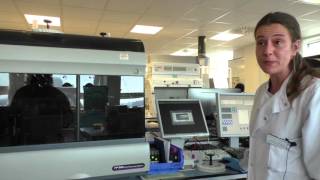 Flow Cytometry – Liliana Carvalho [upl. by Ert545]