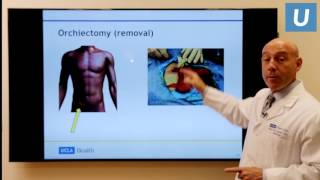 Cytotoxicity Assay [upl. by Anawat]