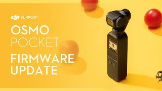 How to Update Osmo Pocket‘s Firmware [upl. by Moffat903]