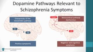 Psychopharmacology Antipsychotics amp The Dopamine Hypothesis [upl. by Lyram]