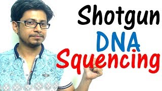 Shotgun sequencing method explained [upl. by Allegna]