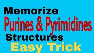 Purine amp Pyrimidine Structures  Easy way to memorize [upl. by Head681]