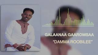 Galaanaa Gaaromsaa Damma Roobilee NEW 2019 Oromo Music [upl. by Hillyer]