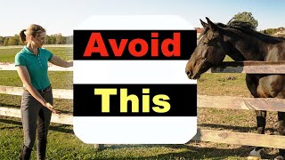 BEGINNER HORSE RIDING MISTAKES  TOP 10 🐴 [upl. by Inot459]