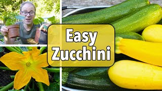 Growing Zucchini Courgettes from Sowing to Harvest [upl. by Ayhay362]