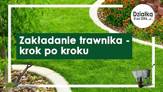 Zakładanie trawnika w 7 krokach [upl. by Luttrell]