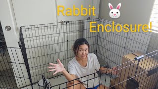 Setting Up My Rabbit Cage [upl. by Evander455]