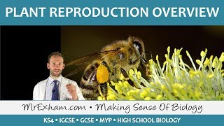 Plant Reproduction  Introduction and Overview  GCSE Biology 91 [upl. by Adlay]