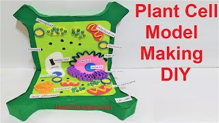 plant cell 3d model making using cardboard  DIY  science project  howtofunda [upl. by Oruam]