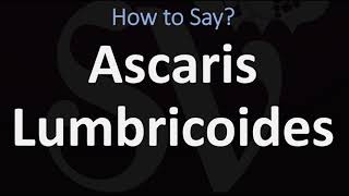 How to Pronounce Ascaris Lumbricoides CORRECTLY [upl. by Hollerman]