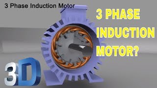 3 Phase Induction Motor [upl. by Foote122]