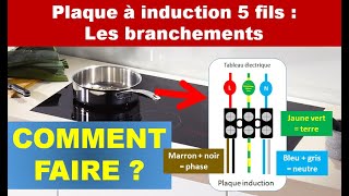 Comment brancher une plaque induction 5 fils [upl. by Eselahc422]