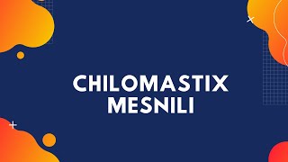 Chilomastix mesnili [upl. by Oringa]