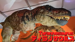 【古生物紹介】ティラノサウルスTyrannosaurus [upl. by Nottap]