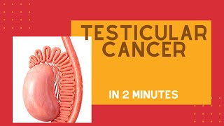 Testicular cancer in under 2 mins [upl. by Brien345]