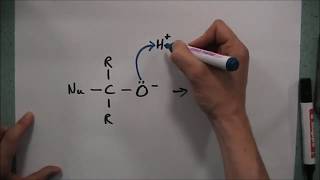 Nucleophilic Addition [upl. by Doreg]