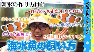 【はじめての海水魚飼育】さかなクンがオススメするお魚 [upl. by Yorgos]