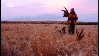 Pheasants Forever A Call to Action [upl. by Alurta]