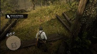 RDR2 Perfect rat carcass location EASY [upl. by Neenahs747]