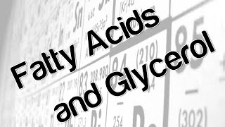 Fatty acids and glycerol [upl. by Ahsinoj]