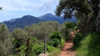 Wanderung Port de Sóller  Sóller [upl. by Edea]