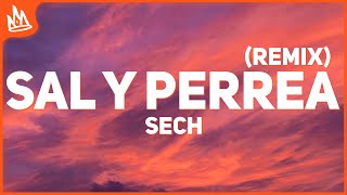 Sech  Sal y Perrea Remix Letra [upl. by Heda547]