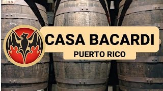 Partied at BACARDI  Casa Bacardi Rum Tour  Puerto Rico [upl. by Kristoffer]