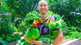 Summer Garden Harvest Sustainable Permaculture Gardening [upl. by Ula]