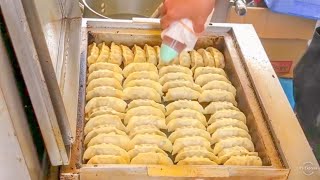 japanese street food  japanese dumplings GYOZA 餃子 [upl. by Spratt]