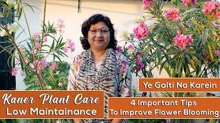 Kaner  Oleander Plant Care  Low Maintainance  4 Important Tips  Meri Bagiya Mera Pyaar [upl. by Ullyot]