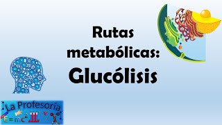 Rutas metabólicas Glucólisis [upl. by Acysej]