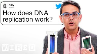 Human Geneticist Answers DNA Questions From Twitter  Tech Support  WIRED [upl. by Zel]