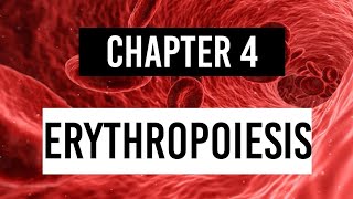 ERYTHROPOIESIS  Stages of erythropoiesis Physiology [upl. by Ylekalb886]