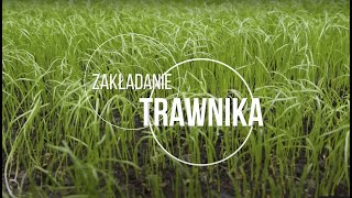 Zakładanie trawnika — 10 prostych kroków [upl. by Auos]